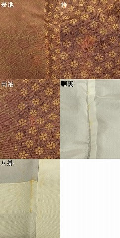 平和屋着物▼上質な小紋　草花間道　正絹　逸品　AABL3483fy