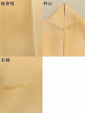 平和屋着物●上質な小紋　枝松地紋　暈し染め　正絹　逸品　AABL3492fy