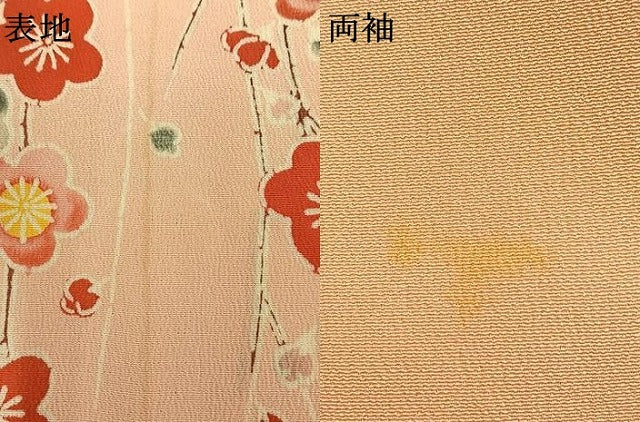 平和屋着物●訪問着　型染め　枝梅松文　正絹　逸品　AABL3546fy