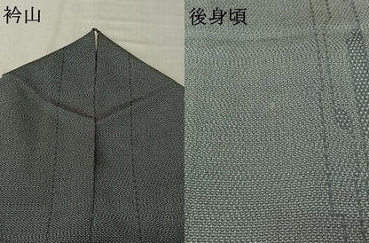 平和屋着物▽本塩沢　単衣　110亀甲　変わり縞　正絹　逸品　AABL3937jh