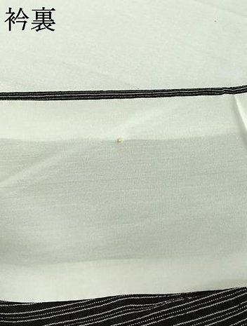 平和屋着物▽本塩沢　単衣　立涌文　黒地　正絹　逸品　AABL3989jh
