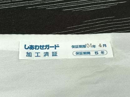 平和屋着物▽本塩沢　単衣　立涌文　黒地　正絹　逸品　AABL3989jh