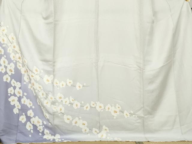 平和屋着物●訪問着　胡蝶蘭　暈し染め　金彩　ロング丈　正絹　逸品　AABL4108cs