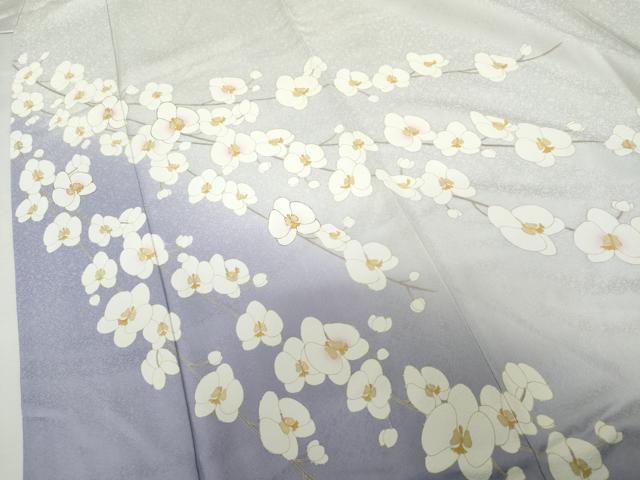 平和屋着物●訪問着　胡蝶蘭　暈し染め　金彩　ロング丈　正絹　逸品　AABL4108cs