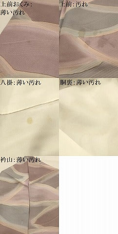 平和屋着物■上質な小紋　立波地紋　暈し染め　正絹　逸品　AABL4260sx