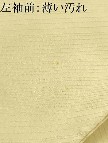 平和屋着物■訪問着　枝花文　金銀彩　正絹　逸品　AABL4276sx