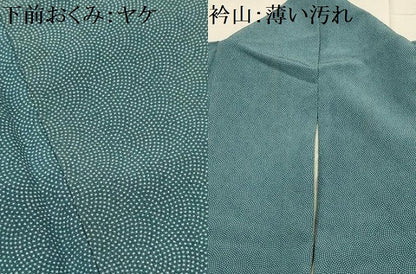 平和屋着物■江戸小紋　鮫小紋柄　正絹　逸品　AABL4306sx