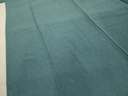平和屋着物■江戸小紋　鮫小紋柄　正絹　逸品　AABL4306sx