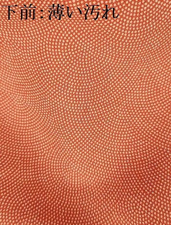 平和屋着物■江戸小紋　鮫小紋柄　正絹　逸品　AABL4324sx