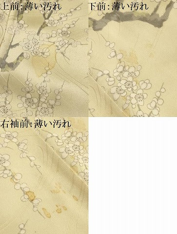 平和屋着物■上質な小紋　枝花文　正絹　逸品　AABL4333sx