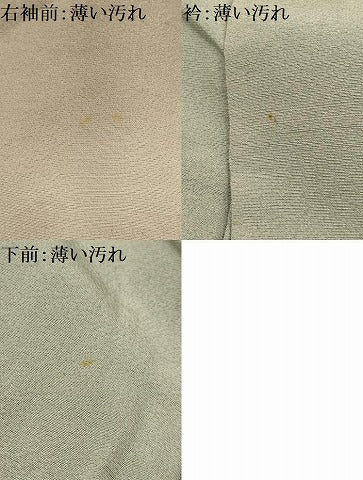 平和屋着物■中国三大刺繍　相良刺繍　訪問着　笹の葉文　暈し染め　金糸　正絹　逸品　AABL4360sx