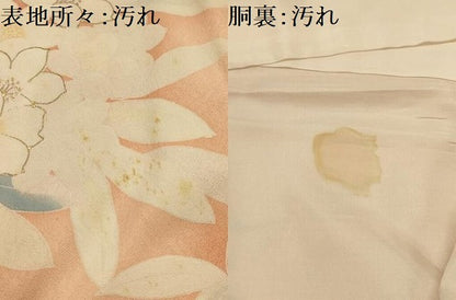 平和屋着物■訪問着　草花文　金彩　正絹　逸品　AABL4369sx