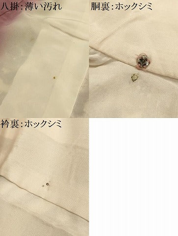平和屋着物■上質な小紋　花風景文　鬼しぼ縮緬　正絹　逸品　AABL4372sx