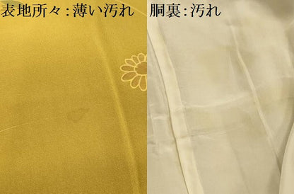 平和屋着物■訪問着　草花文　暈し染め　正絹　逸品　AABL4402sx