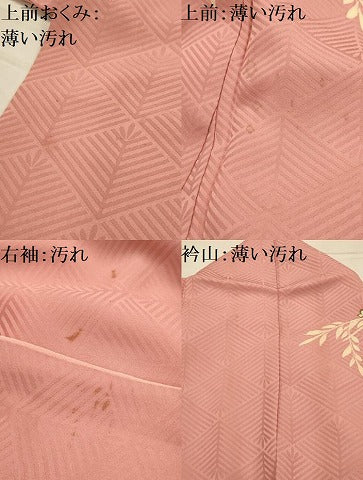 平和屋着物■訪問着　作家物　鳥かご　松坂屋扱い　正絹　逸品　AABL4466sx