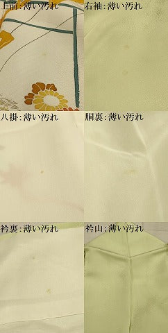 平和屋着物■訪問着　駒刺繍　草花文　暈し染め　金彩　正絹　逸品　AABL4490sx