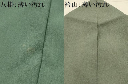 平和屋着物■訪問着　草花文　鬼しぼ縮緬　洗える着物　AABL4561sx
