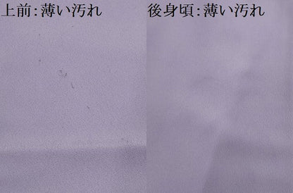 平和屋着物■色無地　薄色　胴抜き仕立て　洗える着物　AABL4563sx