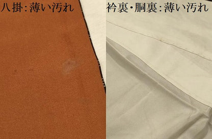 平和屋着物■本場大島紬　草花文　正絹　逸品　AABL4572sx