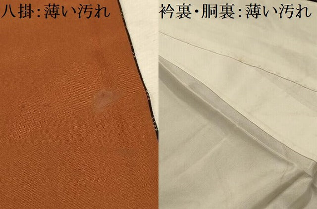 平和屋着物■本場大島紬　草花文　正絹　逸品　AABL4572sx