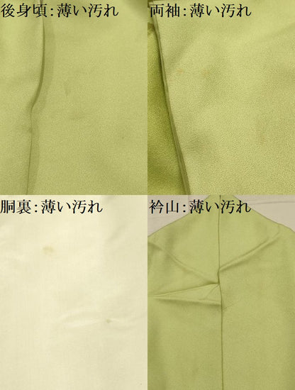 平和屋着物■訪問着　作家物　手描き　枝花文　暈し染め　正絹　逸品　AABL4651sx