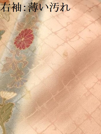 平和屋着物■訪問着　花唐草文　暈し染め　金彩　正絹　逸品　AABL4684sx