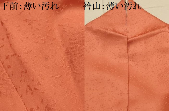 平和屋着物■訪問着　刺繍　花風景丸文　金糸　金彩　正絹　逸品　AABL4690sx