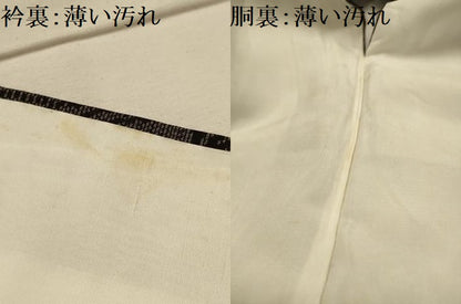 平和屋着物■本場大島紬　立波間道　正絹　逸品　AABL4707sx
