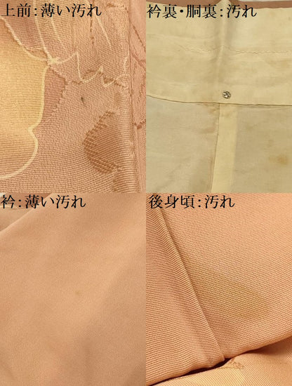 平和屋着物■上質な小紋　地紋起こし　草花文　暈し染め　正絹　逸品　AABL4719sx