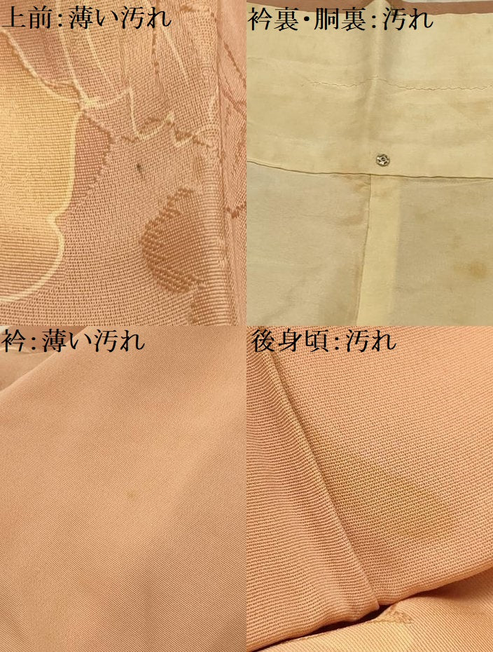 平和屋着物■上質な小紋　地紋起こし　草花文　暈し染め　正絹　逸品　AABL4719sx
