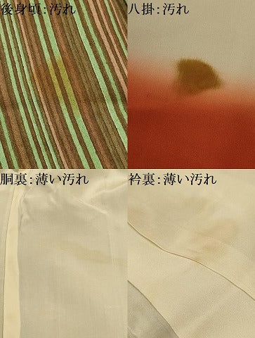 平和屋着物■上質な小紋　間道　正絹　逸品　AABL4721sx