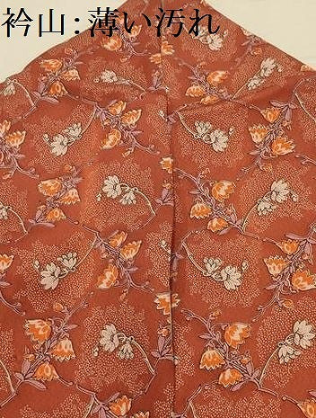 平和屋着物■上質な小紋　草花菱文　正絹　逸品　AABL4723sx