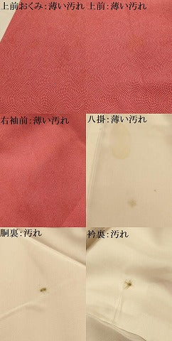 平和屋着物■江戸小紋　鮫小紋柄　正絹　逸品　AABL4770sx