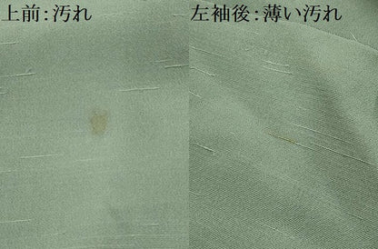 平和屋着物■上質な紬　紬地　錆青磁色　正絹　逸品　AABL4798sx