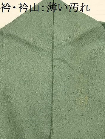 平和屋着物■上質な色無地　紋意匠　老竹色　正絹　逸品　AABL4799sx