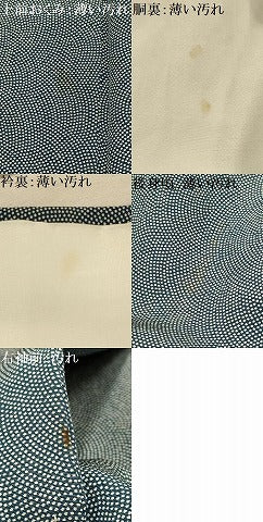 平和屋着物■江戸小紋　鮫小紋柄　正絹　逸品　AABL4808sx