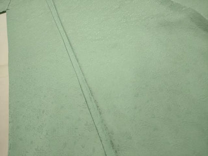 平和屋着物■上質な色無地　草花地紋　薄萌葱色　正絹　逸品　AABL4869sx