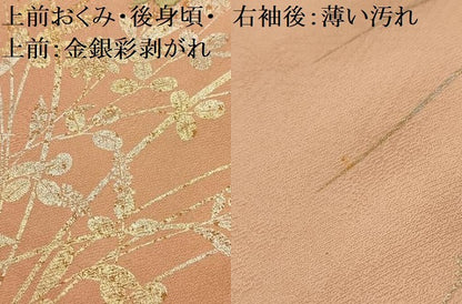 平和屋着物■訪問着　刺繍　花蝶文　暈し染め　金糸　金銀彩　正絹　逸品　AABL4877sx