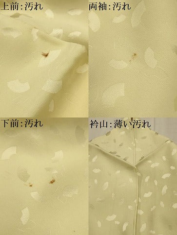 平和屋着物■訪問着　手描き　枝花文　銀彩　正絹　逸品　AABL4889sx