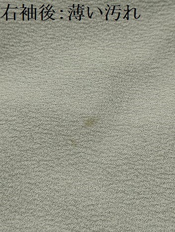 平和屋着物■訪問着　玉髪　能　暈し染め　金彩　正絹　逸品　AABL4895sx