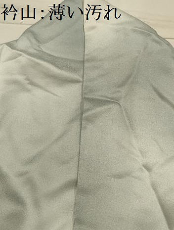 平和屋着物■訪問着　草花文　暈し染め　正絹　逸品　AABL4899sx