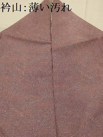平和屋着物■江戸小紋　鮫小紋柄　正絹　逸品　AABL4905sx