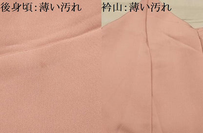平和屋着物■訪問着　刺繍　雪輪花地紋　正絹　逸品　AABL4932sx