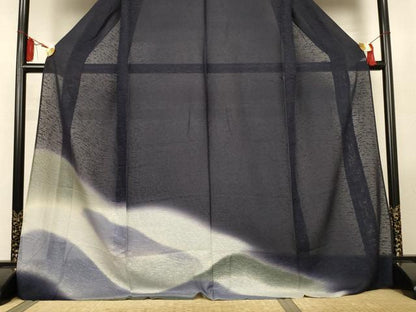 平和屋着物＊夏物　訪問着　紗　遠山文　暈し染め　ロング丈　正絹　逸品　AABL5081jd