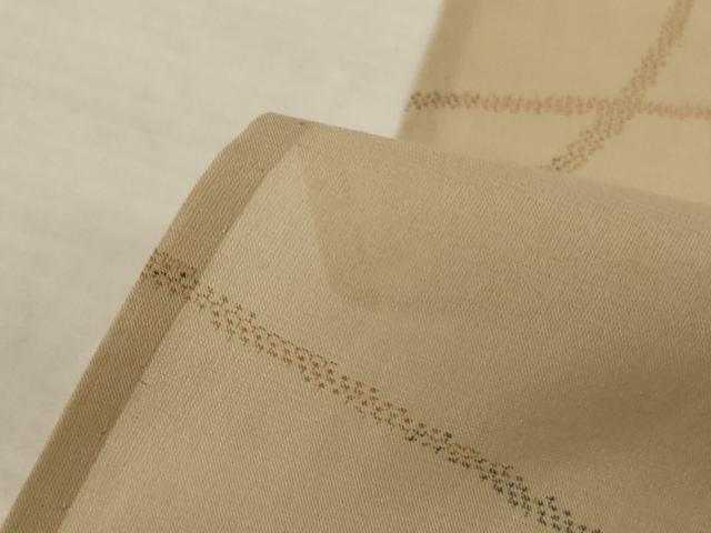 平和屋着物＊夏物　紗紬　芝文　ロング丈　正絹　逸品　AABL5086jd