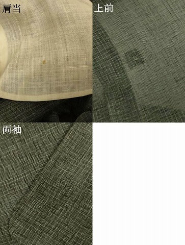 平和屋着物＊夏物　紗紬　霞文　正絹　逸品　AABL5100jd