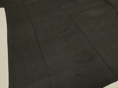 平和屋着物＊夏物　紗紬　霞文　黒地　正絹　逸品　AABL5135jd
