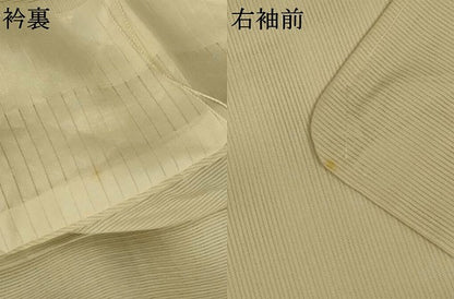 平和屋着物＊夏物　訪問着　絽　手描き　草花文　正絹　逸品　AABL5138jd