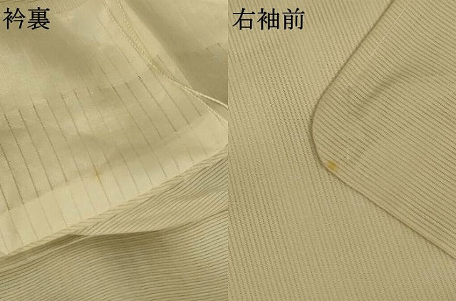 平和屋着物＊夏物　訪問着　絽　手描き　草花文　正絹　逸品　AABL5138jd