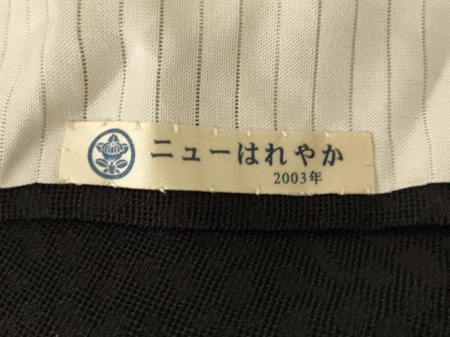 平和屋着物＊夏物　訪問着　霞紋紗　枝葉文　黒地　ロング丈　正絹　逸品　AABL5140jd